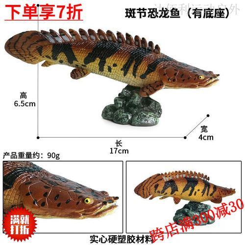 恐龍魚有幾種品種圖片及名稱