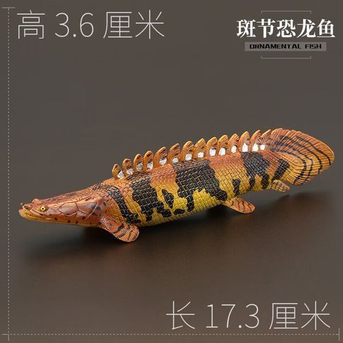 恐龍魚有幾種品種圖片及名稱