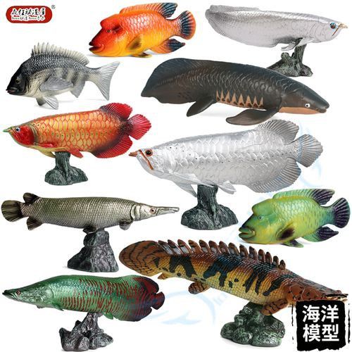 恐龍魚有幾種品種圖片及名稱