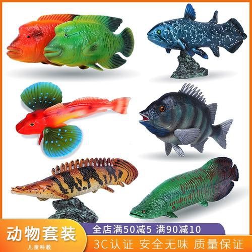 恐龍魚有幾種品種圖片及名稱