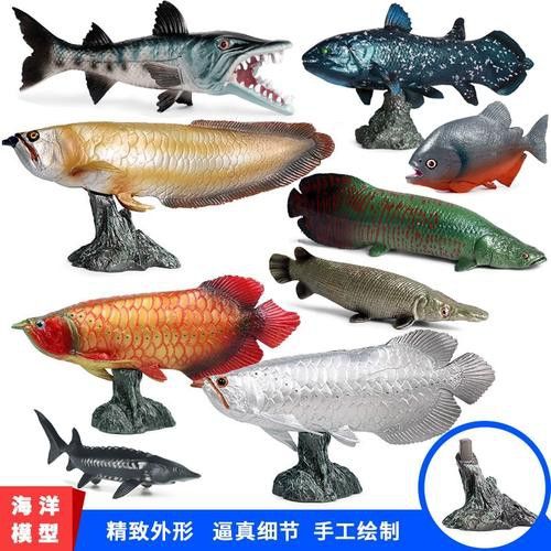 恐龍魚有幾種品種圖片及名稱
