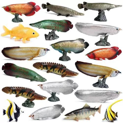 恐龍魚有幾種品種圖片及名稱