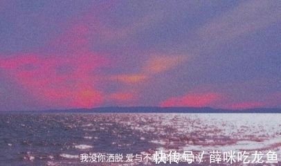 龍魚宣傳文案簡短：溫暖、親情、親情、金龍魚的大家庭品牌龍魚品牌理念