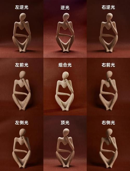 給我推薦一些大龍蝦生態攝影作品
