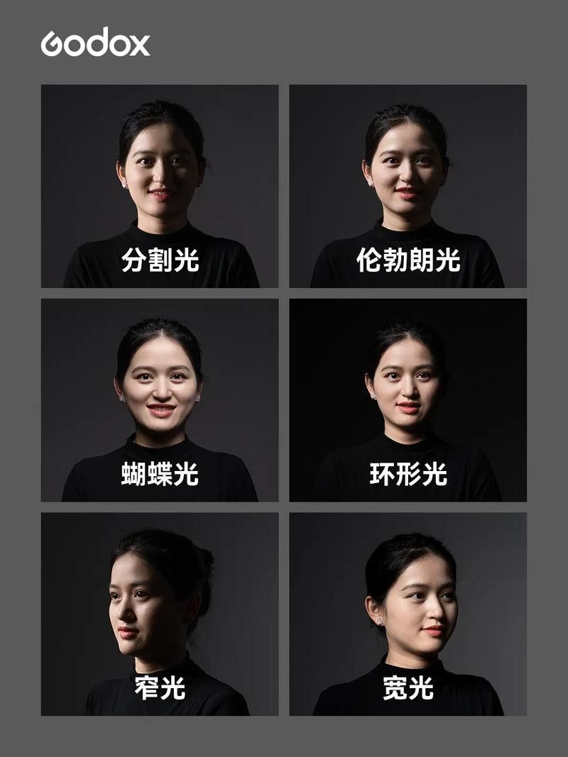 給我推薦一些大龍蝦生態攝影作品