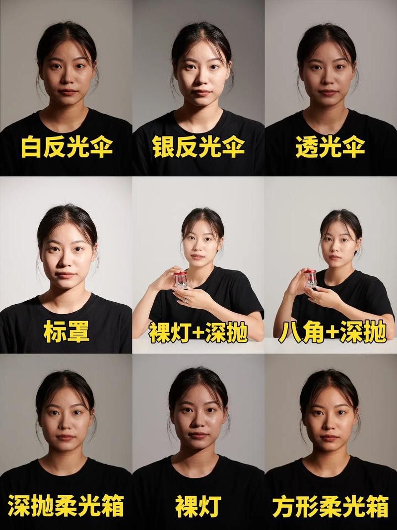給我推薦一些大龍蝦生態攝影作品