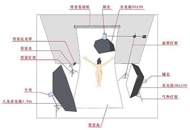 給我推薦一些大龍蝦生態攝影作品