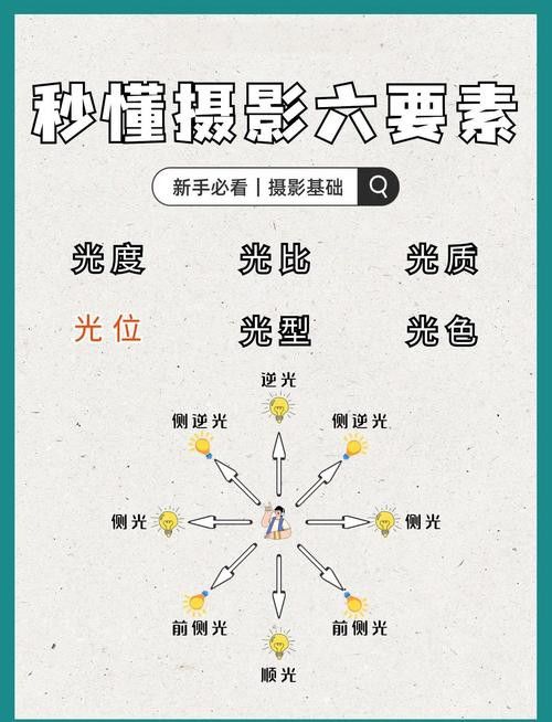 給我推薦一些大龍蝦生態攝影作品