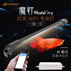 龍魚發色燈烤色燈：適合龍魚發色的燈類型及其特點