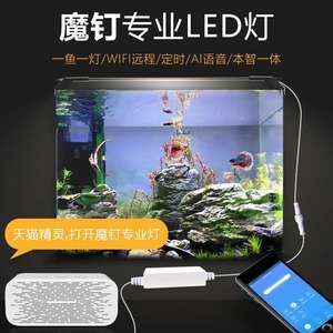 龍魚發色燈烤色燈：適合龍魚發色的燈類型及其特點