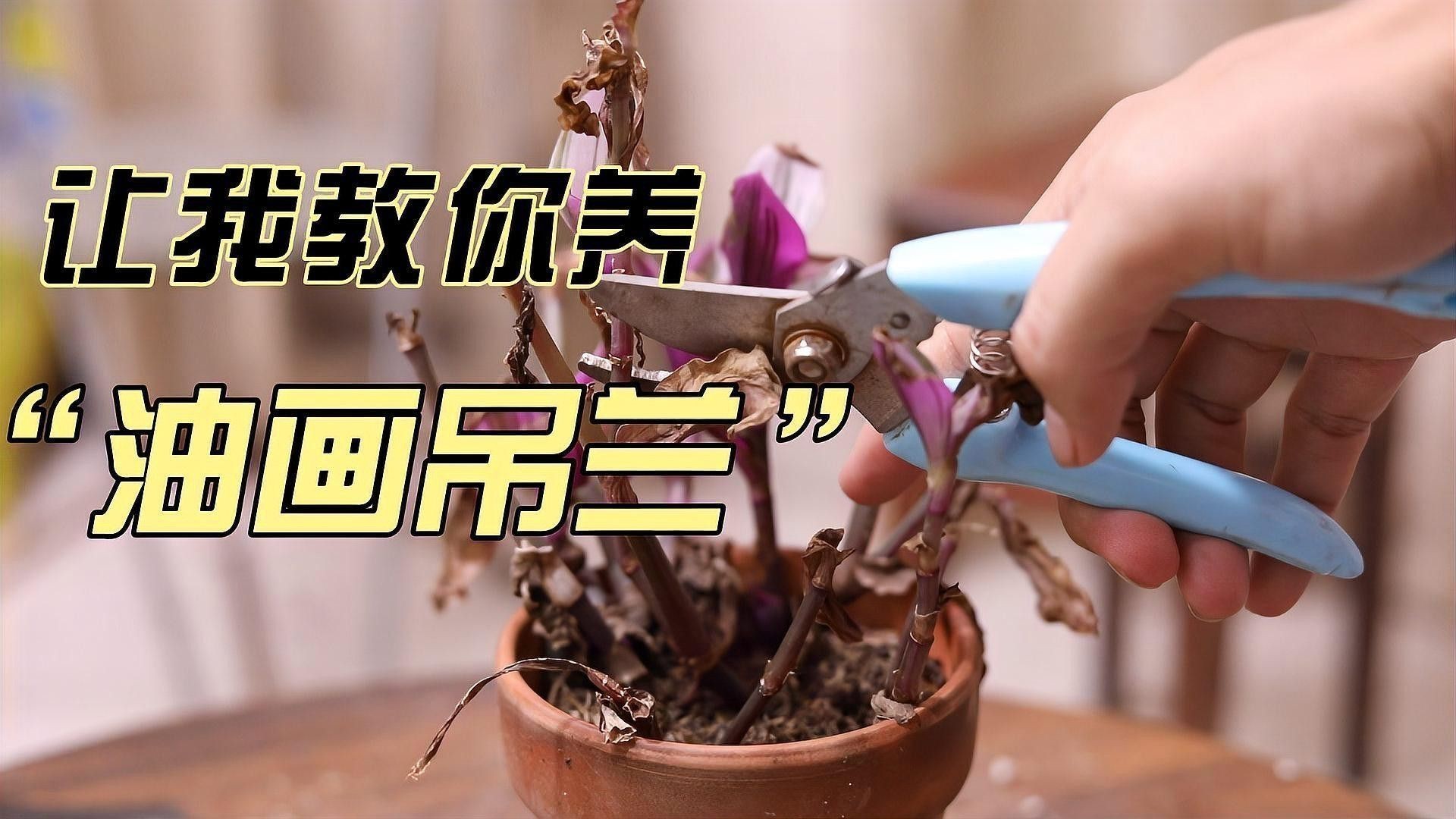如何保養和清潔古典金龍藝術品？