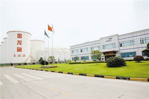 金龍魚武漢工廠：關于金龍魚武漢工廠的詳細信息