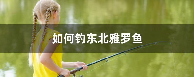 如何釣東北雅羅魚
