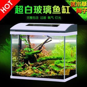 土龍魚缸應該是一個能夠模擬土龍魚自然生態環境的環境：什么是土龍魚缸，土龍魚缸養殖方法