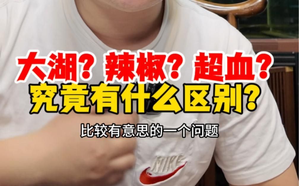 紅龍超血和辣椒哪個更稀有？