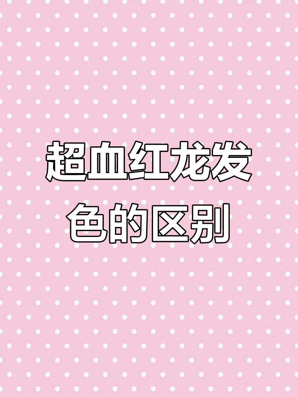 紅龍超血和辣椒哪個更稀有？