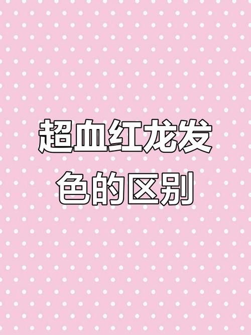 如何挑選高品質(zhì)的紅龍？