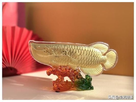 龍魚不游動(dòng)是不是有病：探討龍魚不游動(dòng)是否意味著有病的問(wèn)題
