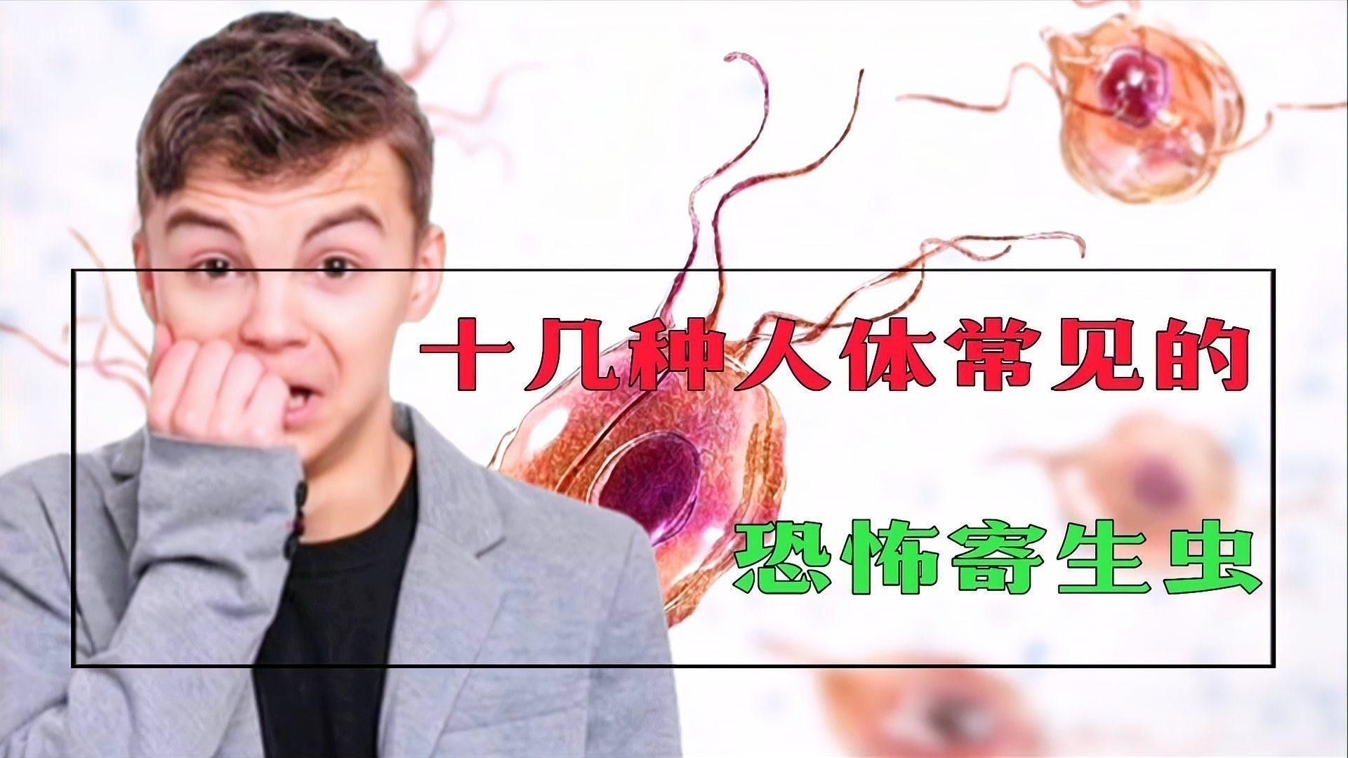 紅龍魚內寄生蟲怎么辦啊