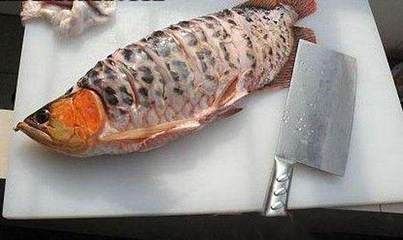 龍魚吃的很少什么原因怎么辦呢，龍魚食欲下降可能由多種因素引起龍魚食欲下降的原因以及解決策略