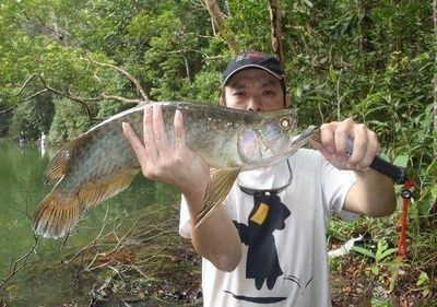龍魚吃的很少什么原因怎么辦呢，龍魚食欲下降可能由多種因素引起龍魚食欲下降的原因以及解決策略