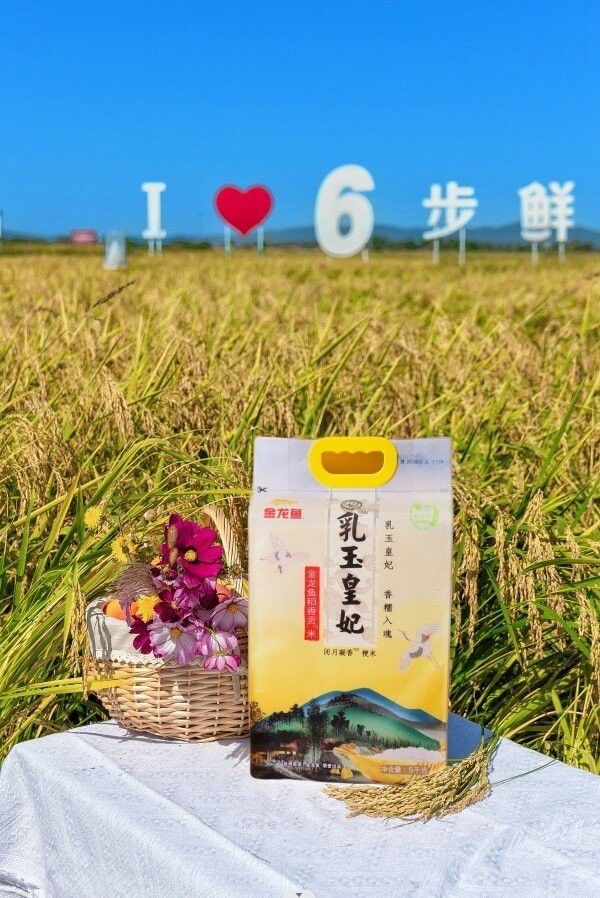 金龍魚如玉皇妃稻香貢米