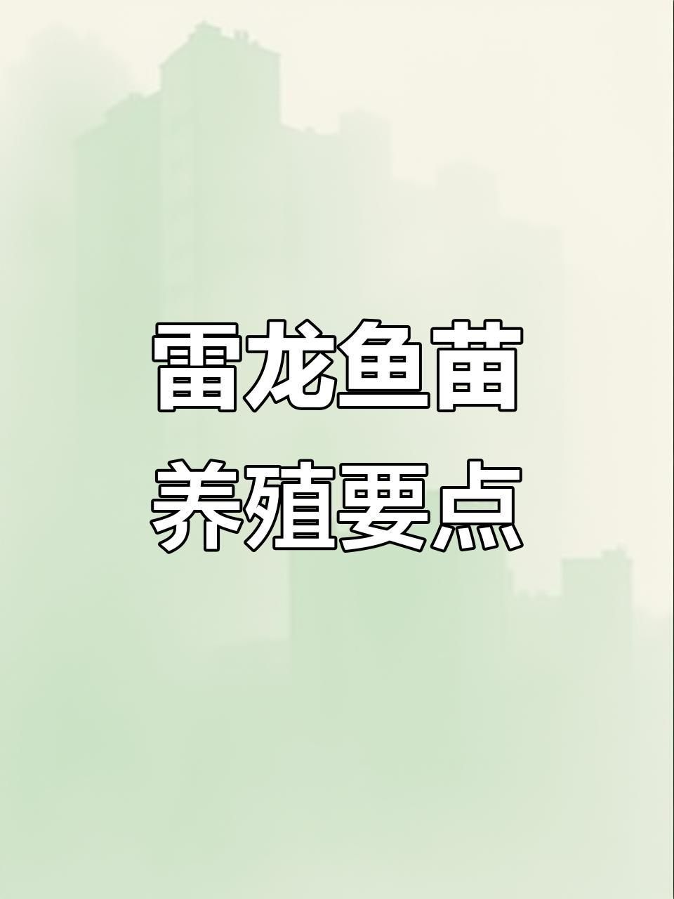 龍魚幼苗1到3厘米喂什么飼料