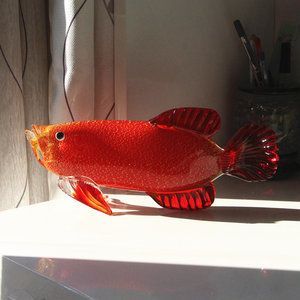 辦公室養(yǎng)金龍魚(yú)有什么講究嗎女生：辦公室養(yǎng)金龍魚(yú)有什么講究