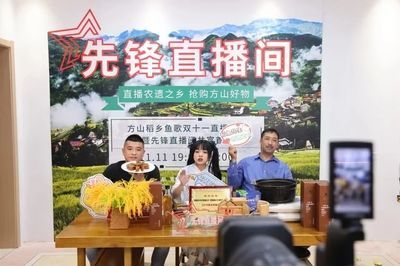 龍魚苗哪里有賣的，龍魚苗品種特性有哪些
