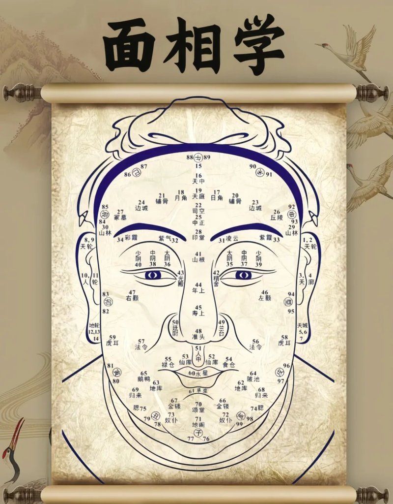 面相分析