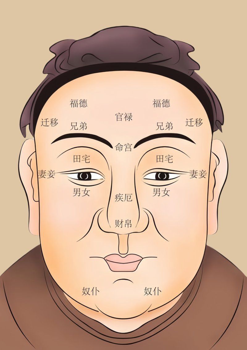 面相分析