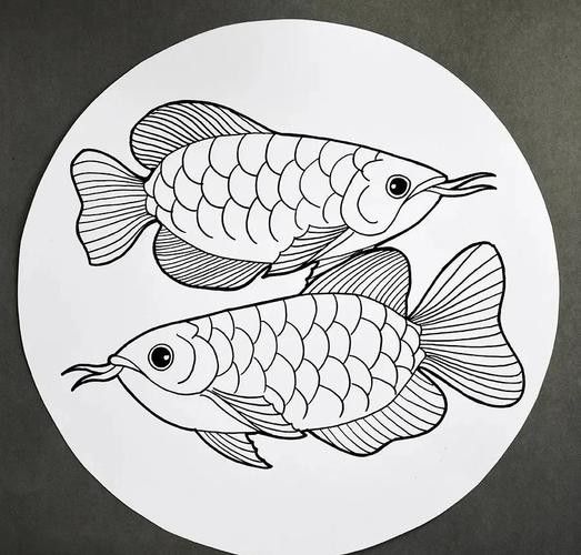 龍魚素描圖片大全大圖高清