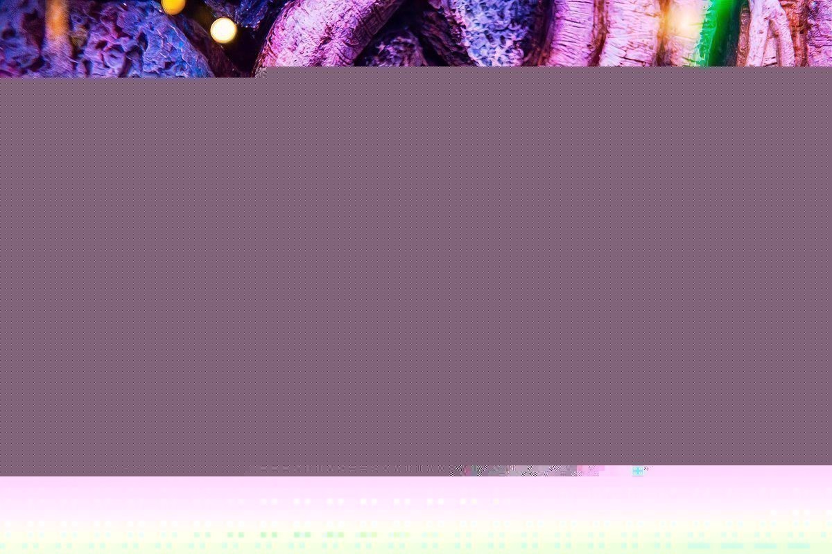 綠皮紅龍的市場價格波動大嗎？