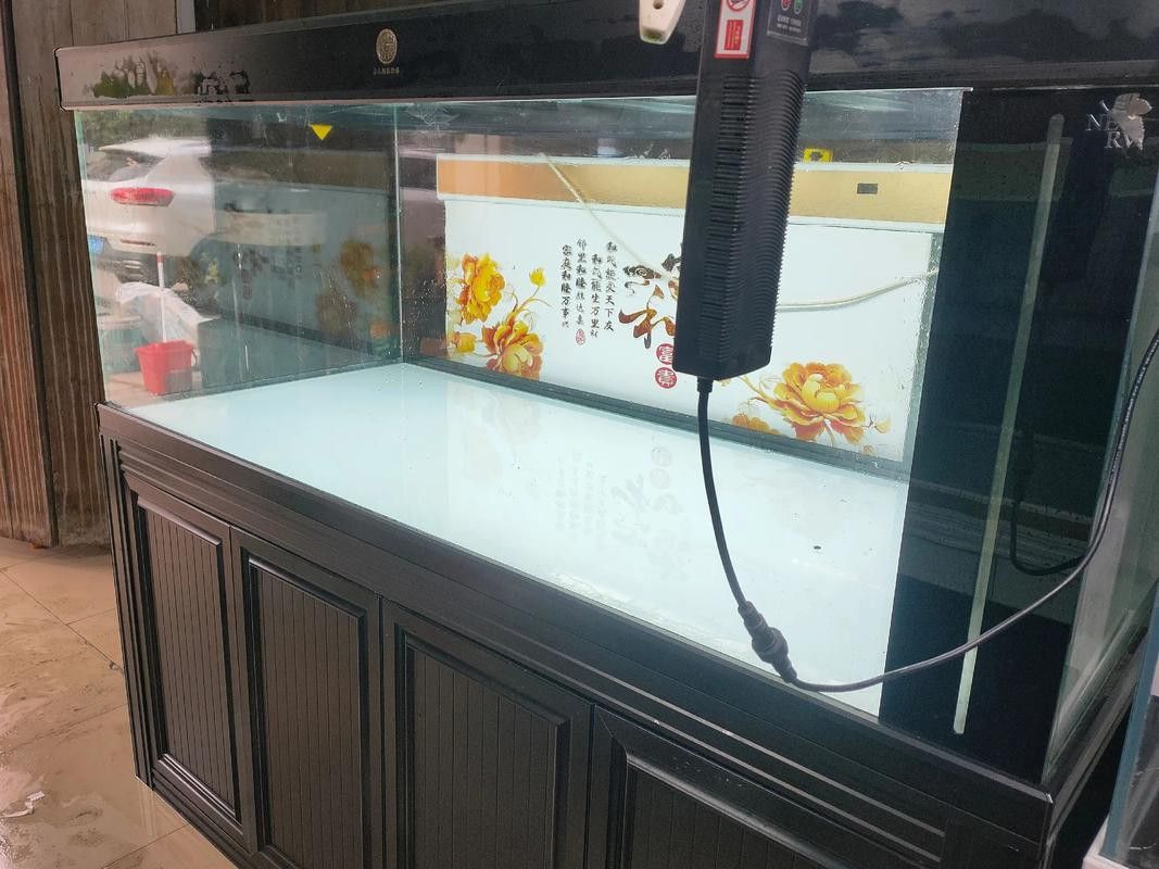 彩蝶龍魚缸能養海水魚嗎圖片