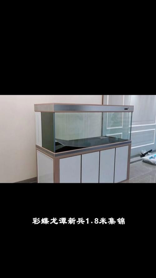 彩蝶龍魚缸能養海水魚嗎圖片