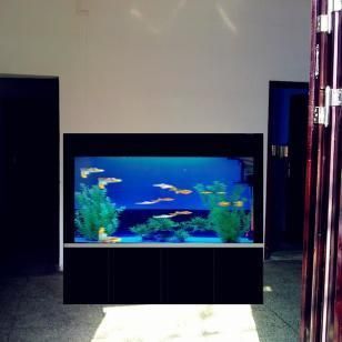 武漢魚缸批發市場（武漢魚缸市場主要有光谷、南湖和漢正街三個地方）
