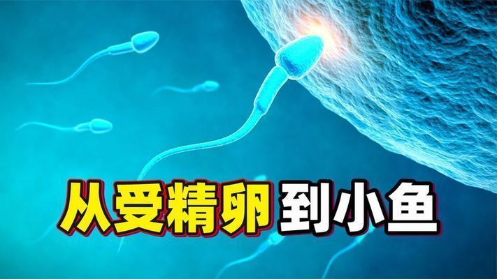 龍魚卵怎么受精孵化（龍魚卵的受精和孵化需要提供適宜環境條件和細心的管理）