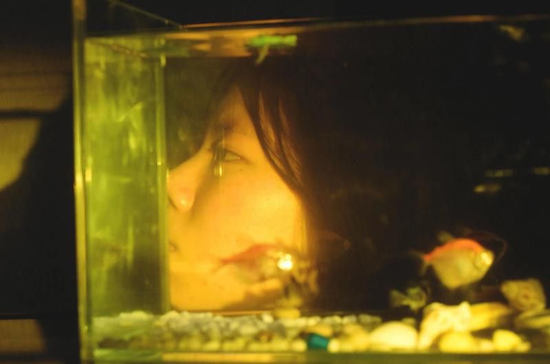 拍攝龍魚需要哪些技巧？ 拍攝龍魚需要哪些技巧？ 龍魚百科 第2張