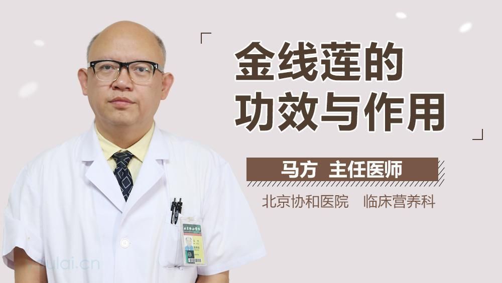 金線蓮