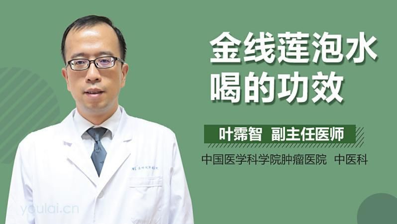 金線蓮