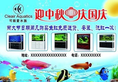 可麗愛魚缸安裝全過程教程（魚缸過濾系統(tǒng)維護(hù)技巧）