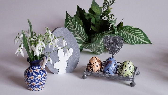 杰西卡恐龍魚繁殖期飼料選擇：杰西卡恐龍魚繁殖期的飼料選擇應當注重營養的全面性和均衡性 杰西卡恐龍魚繁殖期飼料選擇：杰西卡恐龍魚繁殖期的飼料選擇應當注重營養的全面性和均衡性 龍魚百科 第5張