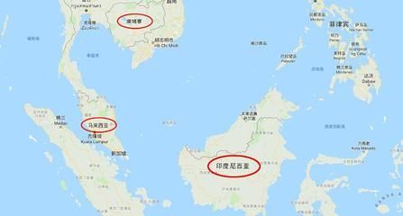 幾百萬(wàn)的金龍魚(yú)：幾百萬(wàn)的金龍魚(yú)可能是指那些具備特殊特征或繁殖能力的高品質(zhì)觀賞魚(yú)