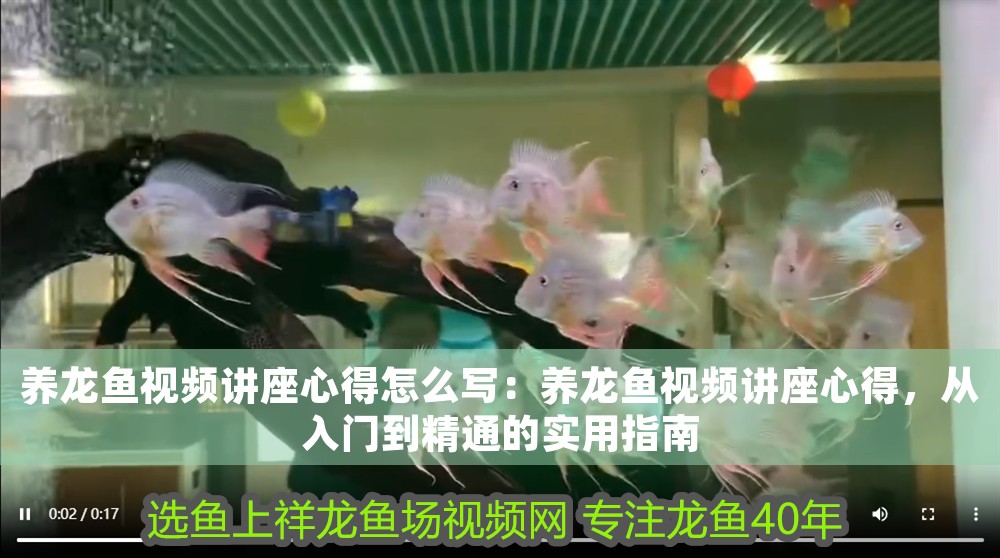養龍魚視頻講座心得怎么寫：養龍魚視頻講座心得，從入門到精通的實用指南