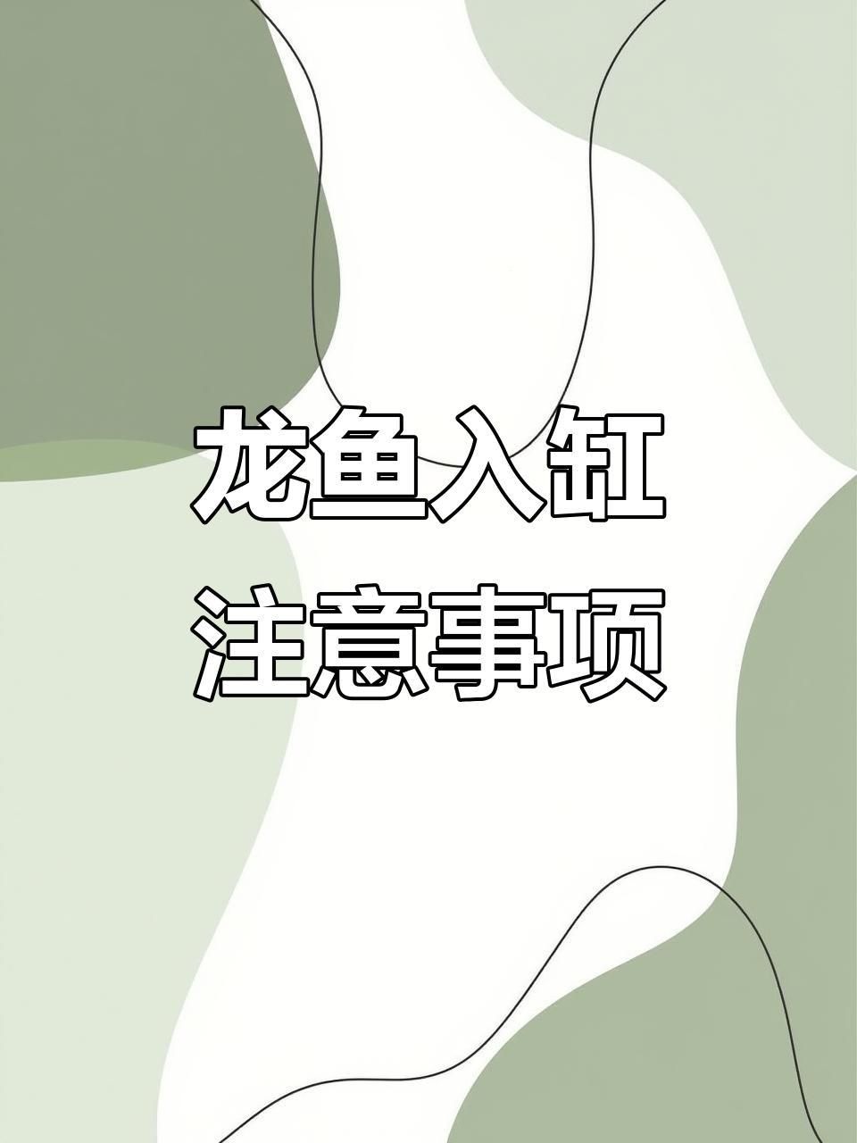 龍魚養殖入門指南 龍魚養殖入門指南 龍魚百科 第4張