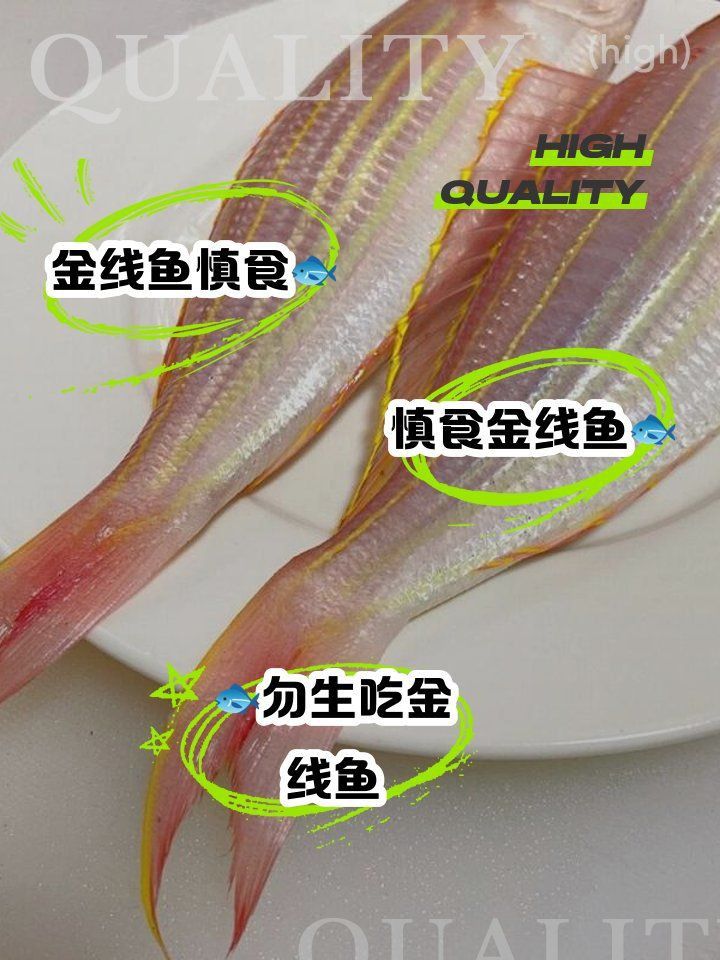 金雙線魚為何要少吃