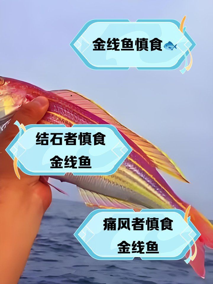 金雙線魚為何要少吃
