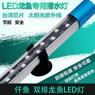 仟選龍魚是仟湖的么（“仟湖龍魚”可能是“仟湖龍魚”的一部分或是某個(gè)品牌）