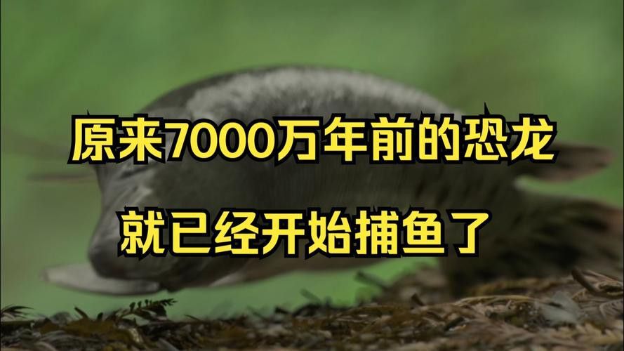 恐龍魚是熱帶魚嗎圖片