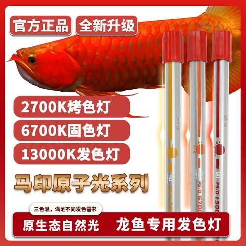6700K龍魚燈哪個品牌最好？